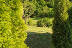 fák